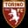 Torino Live Match