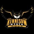 Kennesaw State Owls